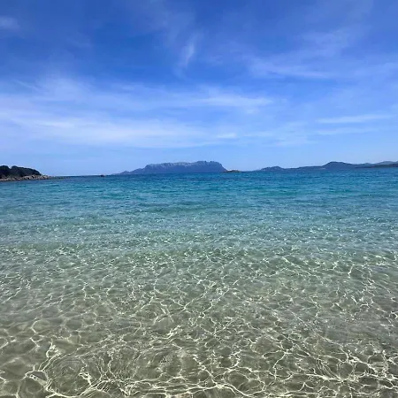 Stella Marina *